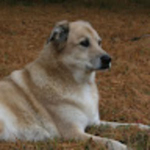 Meet your Posher, B/k